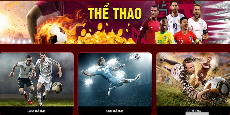 Đôi nét về Thể Thao 333win đáng trải nghiệm 2024