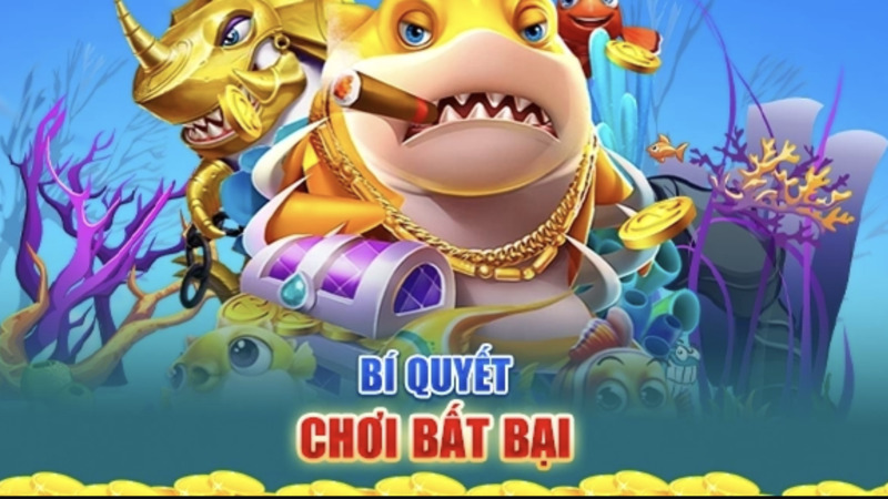 Bỏ túi những chiến lược săn cá bất bại từ cao thủ